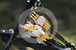 Archery Arrows with Bow Detail