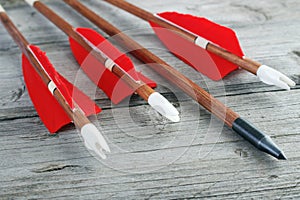 Archery arrows photo