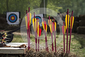 Archery and bright arrows in rustic shooting in the open air