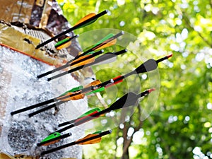 Archery crossbow bolts on house-made practice target in backyard garden outdoor