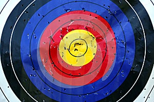 Archery or dart target