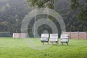 Archery square targets on green field in forest.