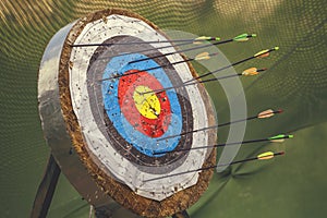 Archery target and arrows 3