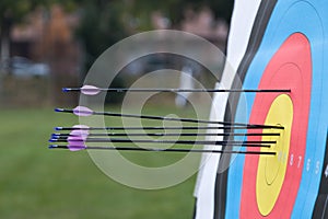 Archery target with arrows on it