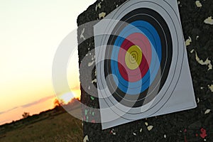 Archery target in field at sunset, closeup photo