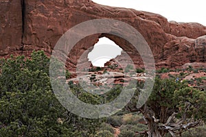 Arches has over 2,000 natural stone arches, in addition to hundreds of soaring pinnacles, massive fins and giant balanced rocks.