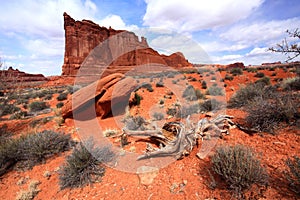 Arches National Park