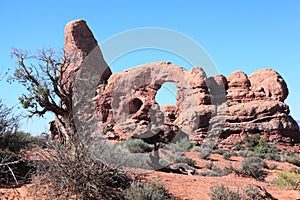 Arches National Park