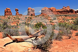 Arches National Park with Balanced Rock and Garden of Eden in Southwest Desert Landscape, Utah