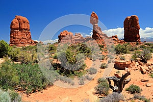 Arches National Park, Balanced Rock in Southwest Desert Landscape, Utah, USA