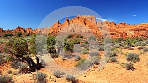 Arches National Park Landscape Panorama of Southwest Desert Landscape with Rock Fins in Devils Garden, Utah