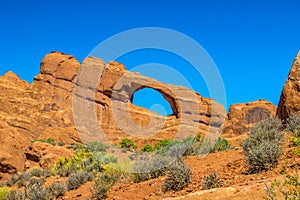 Arches National Park in Moab Utah