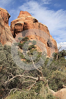 Arches National Park in Moab, Utah