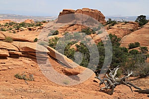 Arches National Park in Moab, Utah