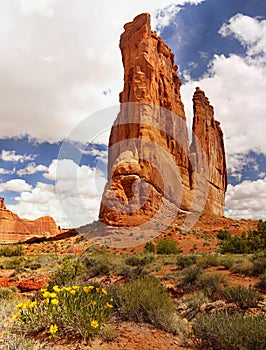 Arches National Park, Moab Utah