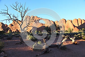 Arches National Park
