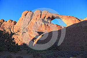 Arches National Park