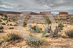 Arches National Park