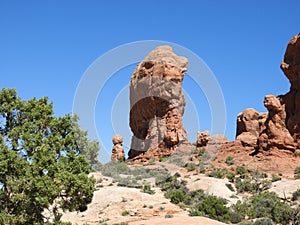 Arches National Park USA Utah Moab animal rock formation