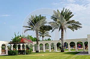 Arches and palms