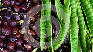 Archidendron Jiringa Seed (jering) and Stink Bean or parkia speciosa