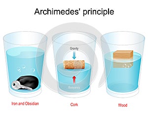 Archimedes Principle. Experiment. Density, Gravity, Buoyancy photo
