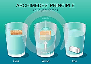 Archimedes principle. Gravity and buoyant force