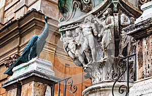 Architectonic detail with peacock