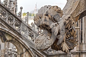Architectonic details from roof of the famous Milan Cathedral, I