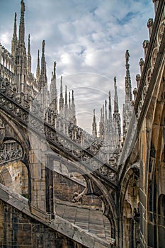 Architectonic details of the Milan Cathedral