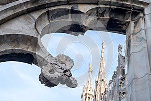 Milan Cathedral roof arches detail