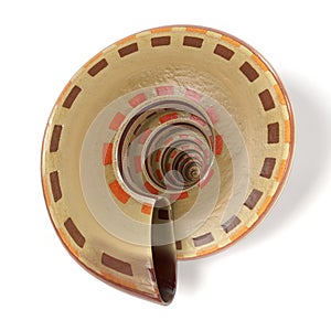 Architectonica Perspectiva Sundial Shell