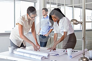 Architects working plans