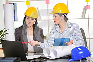 Architects working in office on construction project.