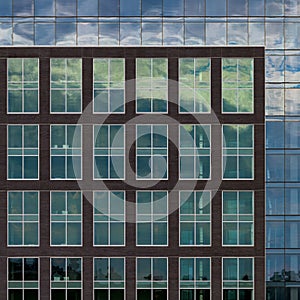 Architectural abstract of downtown Halifax