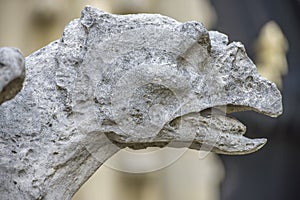 Architectural Detail of Gargoyle statue in Notre-dame
