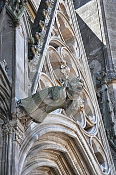 Architectural detail of a gothic cathedral with gargoyle