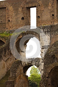 Architectural detail of the Roman Coliseum in Rome, Lazio, Italy.