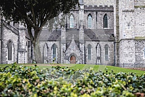 Architectural detail of St Patrick s Cathedral