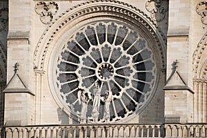 Arquitectónico detalles catedral dama París 