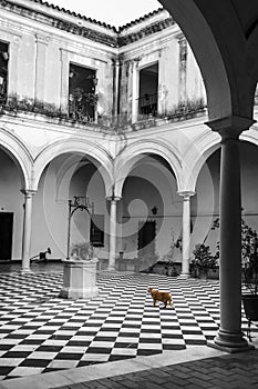 Architectural details of the cloister Jesuitas convent photo