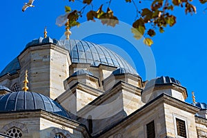 Architectural details of Eminonu New Mosque or Yeni Cami