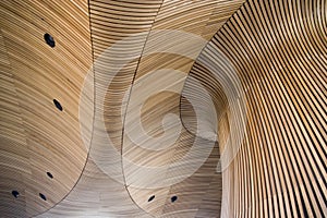 Architectural details of Welsh Assembly building photo