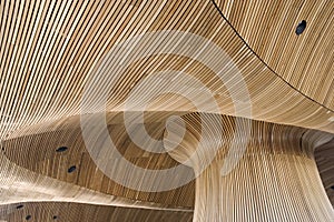 Architectural details of Welsh Assembly building