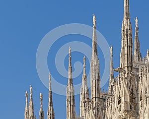 Duomo Cathedral Exterior Detail, Milan, Italy