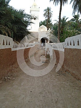 The Architectural Intelligence of Ghadames City