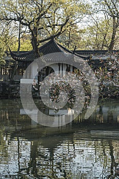 Architecture, buildings and landscapes of Suzhou Humble Administrator`s Garden, the most famous Chinese classic garden in Suzhou, photo