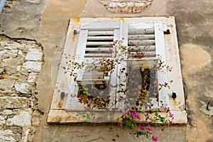 Architecture of Croatia: windows and geranium