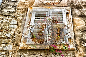 Architecture of Croatia: windows and geranium