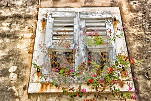 Architecture of Croatia: windows and geranium